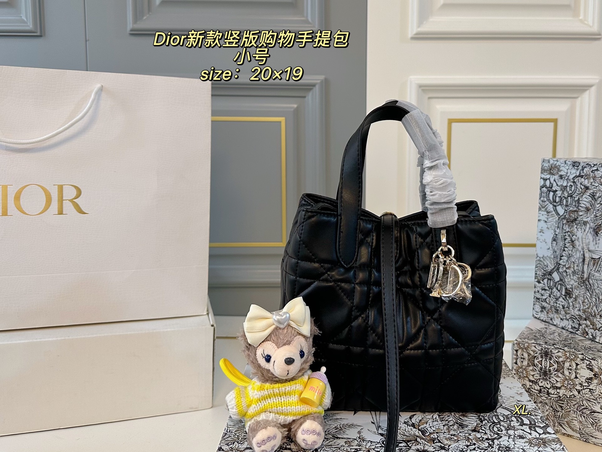 DIOR bag 127